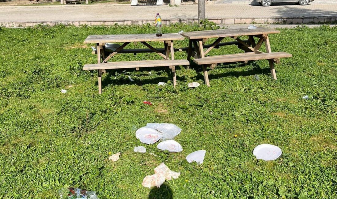 Bilecik’in Söğüt ilçesinde Ertuğrulgazi Türbesi çevresinde oluşan çevre kirliliği tepki