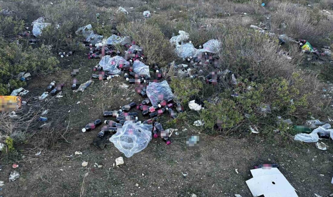 Bilecik’te kimliği belirsiz kişi ya da kişiler, tarihi geçmiş yüzlerce