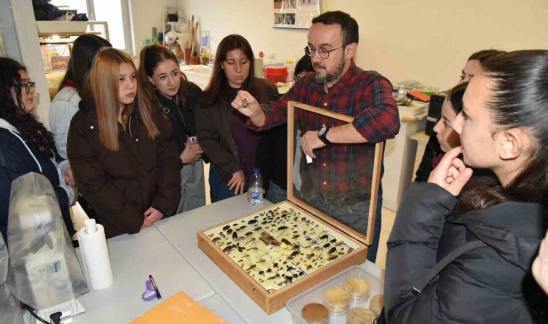 DÜZCE(İHA) – Düzce’nin Yığılca ilçesinde ki Yığılca Çok Programlı Anadolu