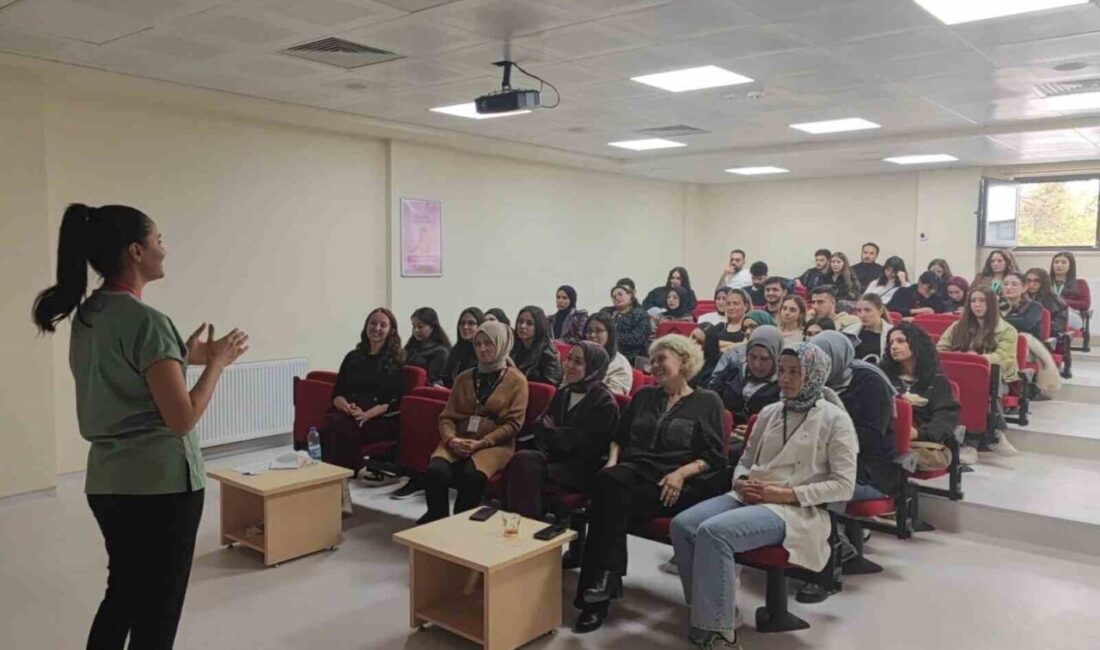 Bilecik Şeyh Edebali Üniversite Üniversitesi Kariyer Merkezi Koordinatörlüğü tarafından düzenlenen