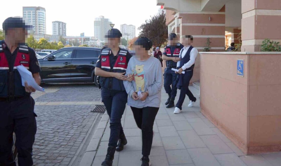 İstanbul’dan Kastamonu’ya uyuşturucu sevkiyatı yapan kadın ile diğer sanığın yargılanmasına