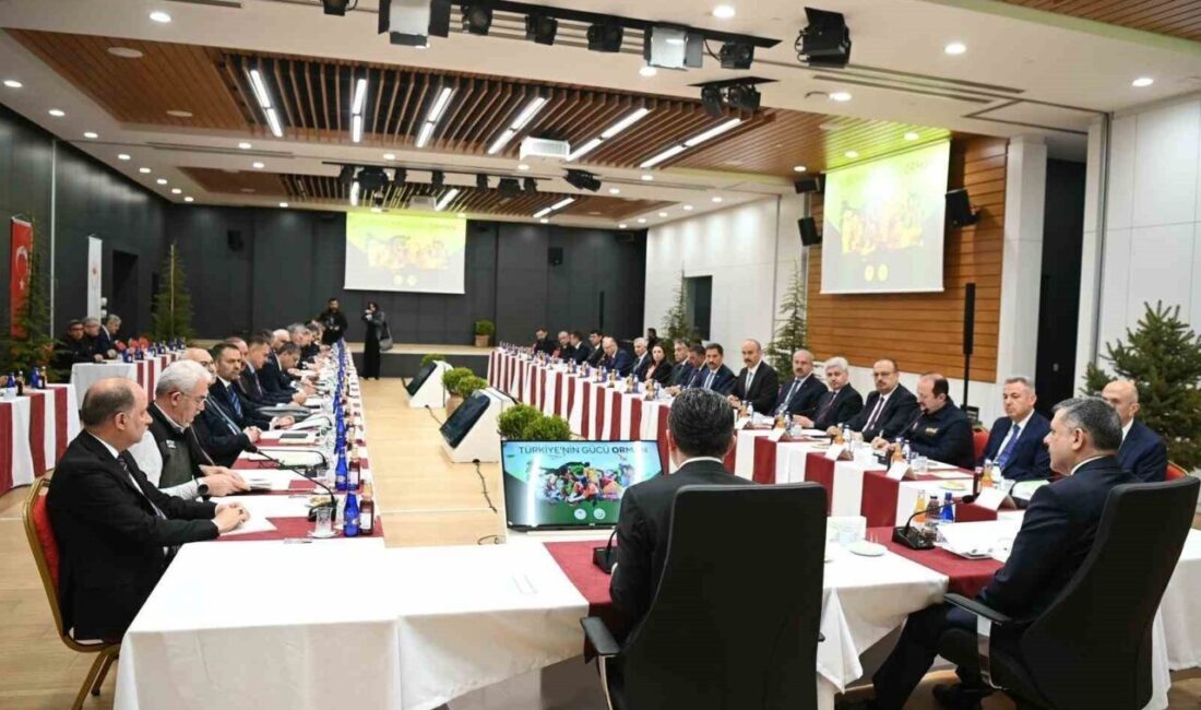 Bilecik Valisi Faik Oktay Sözer Orman Yangınları Koordinasyon Toplantısına katıldı.