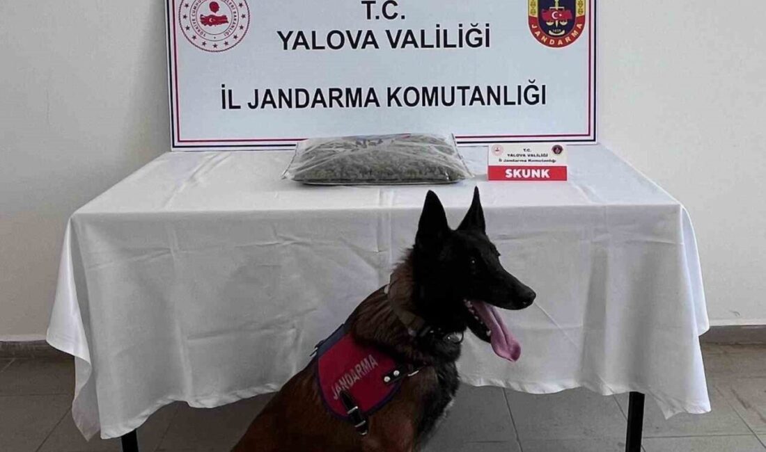 Yalova’da jandarma ekiplerince düzenlenen uyuşturucu operasyonunda 1 şüpheli tutuklanırken 1