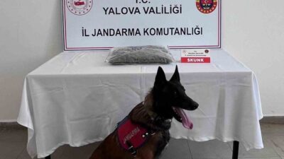Yalova’da jandarma ekiplerince düzenlenen uyuşturucu operasyonunda 1 şüpheli tutuklanırken 1
