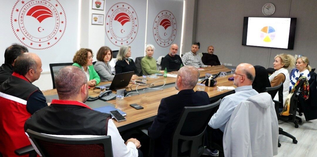 Yalova’nın Altınova ilçesine bağlı Sermayecik köyünde yaban mersini üreticiliği yapan