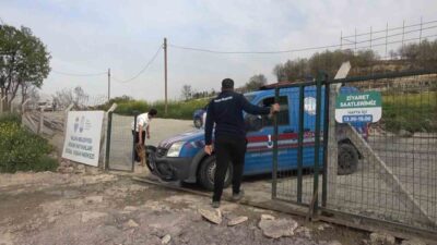 Yalova Belediyesi Sokak Hayvanları Yaşam Merkezi’nde yaşanan köpek ölümleriyle ilgili