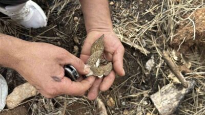 Kastamonu’nun Araç ilçesinde geçen yıl çıkan yangında zarar gören 2