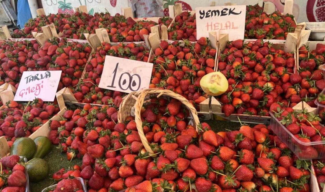 Bolu’da pazar tezgahlarında bahar meyvelerinin fiyatları düşerken, yaz meyveleri de