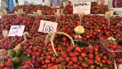 Bolu’da pazar tezgahlarında bahar meyvelerinin fiyatları düşerken, yaz meyveleri de