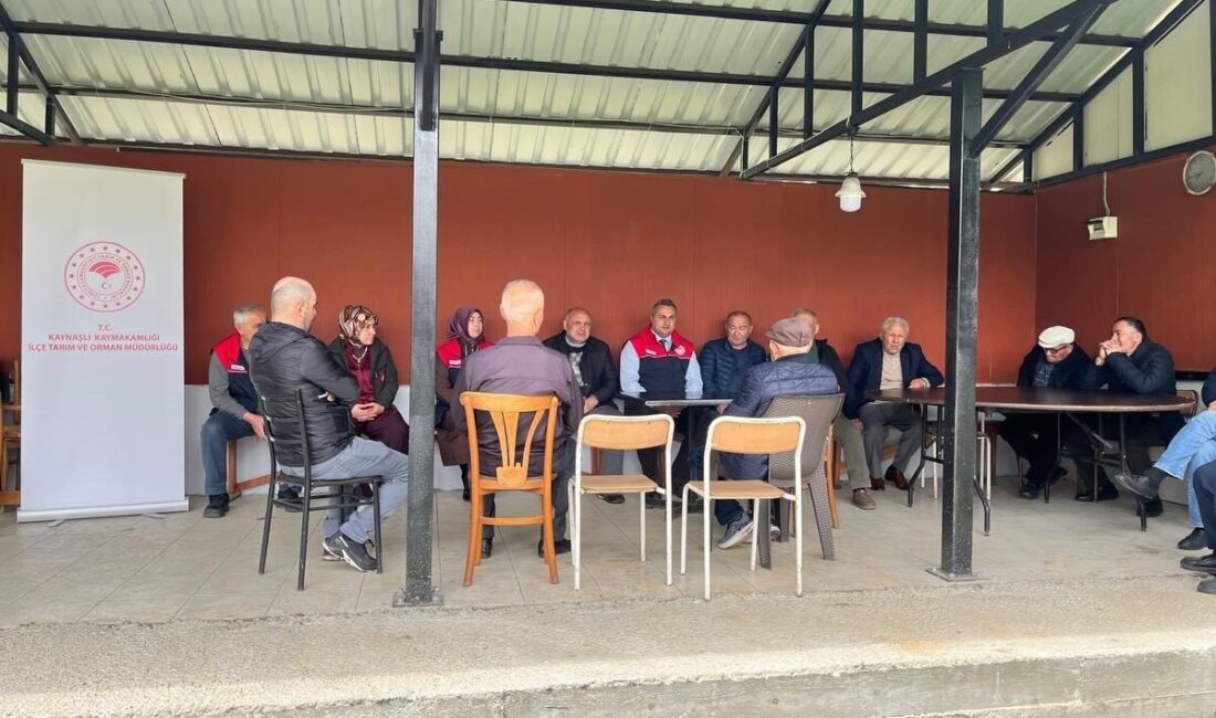 DÜZCE(İHA) – Düzce’nin Kaynaşlı ilçesinde üreticilerle buluşan yetkililer, tarımsal destekler,