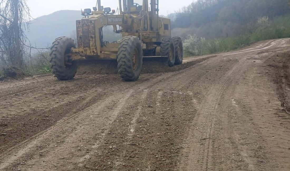 DÜZCE (İHA) – Düzce İl Özel İdaresi ekipleri ilçelerde yaz