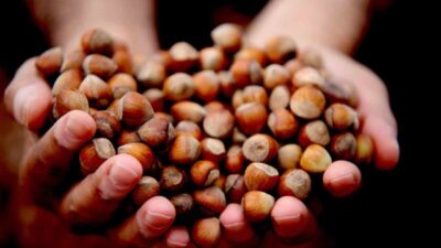 DÜZCE(İHA) – Düzce’den Avrupa Birliğine üye ülkelere yılın ilk çeyreğinde