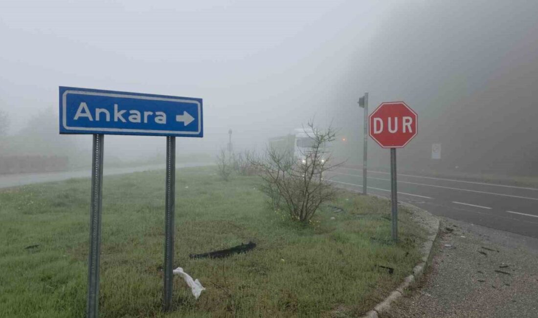 Türkiye’nin önemli geçiş güzergahlarından D-100 Karayolu’nun Bolu Dağı geçişinde yağış