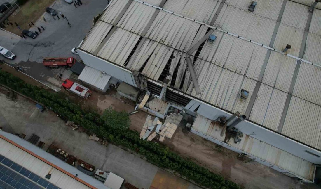 Sakarya’nın Hendek ilçesinde 1 kişinin hayatını kaybettiği, 7 kişinin de