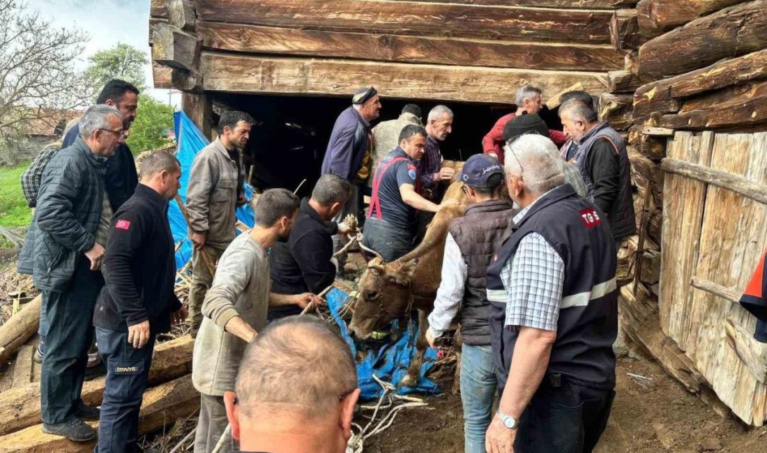 Kastamonu’nun Taşköprü ilçesinde bir ahırın çökmesi sonucu Fatma Demir (63)