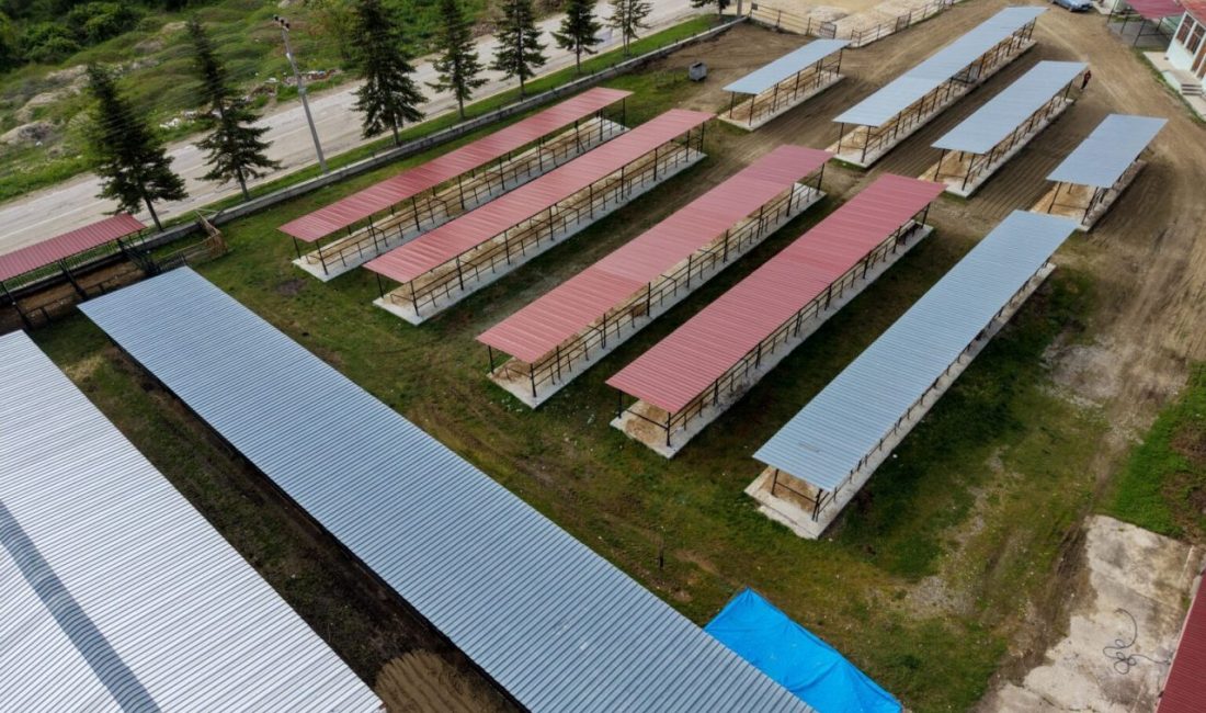 Kastamonu’nun Taşköprü ilçesinde hayvan pazarında vatandaşlardan gelen talepler üzerine başlatılan