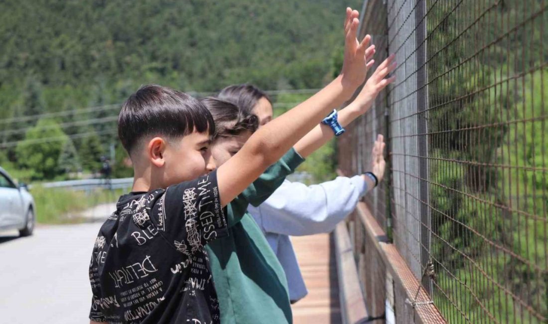 Bolu’da, bayram tatilinin son gününde dönüş yoluna geçen tatilcilerin TEM