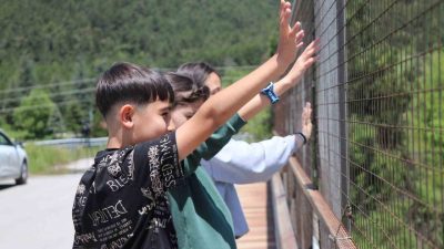 Bolu’da, bayram tatilinin son gününde dönüş yoluna geçen tatilcilerin TEM