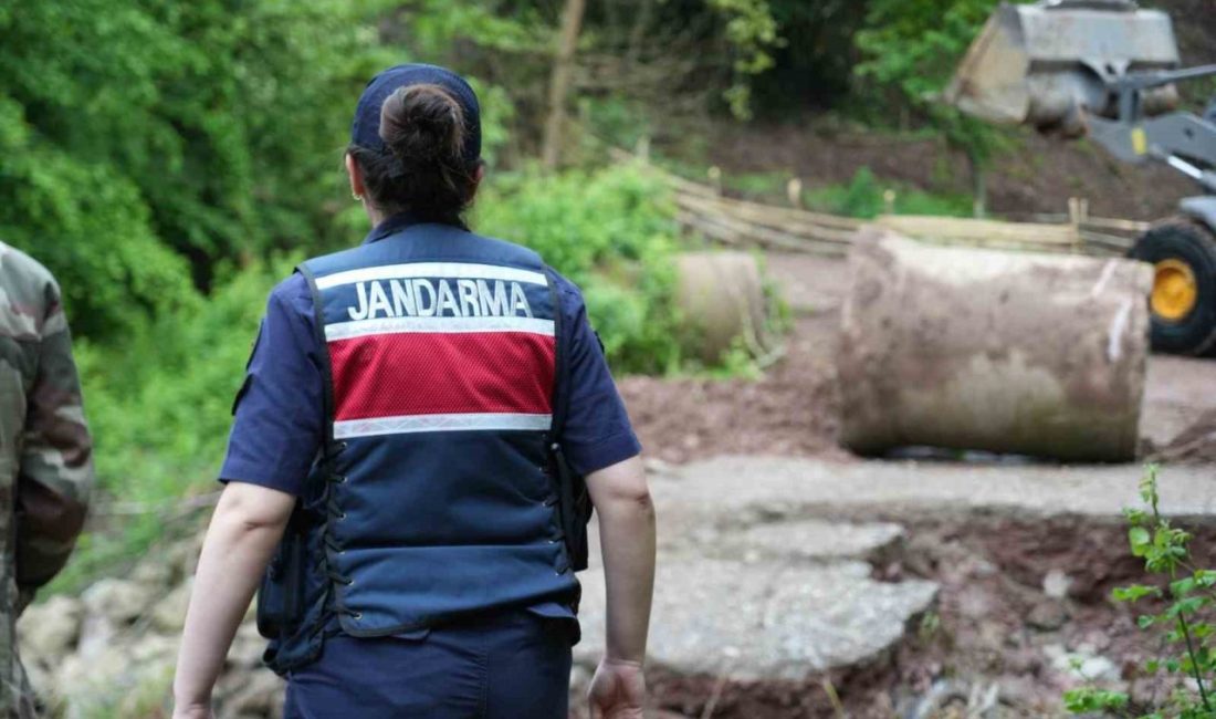 Kocaeli’nin Gölcük ilçesinde bayram ziyaretinden dönen anne ve oğlu, aşırı