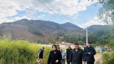Bilecik’in Gölpazarı ilçesinde büyük yangın sonrası yaralar sarılıyor. Gölpazarı ilçesine