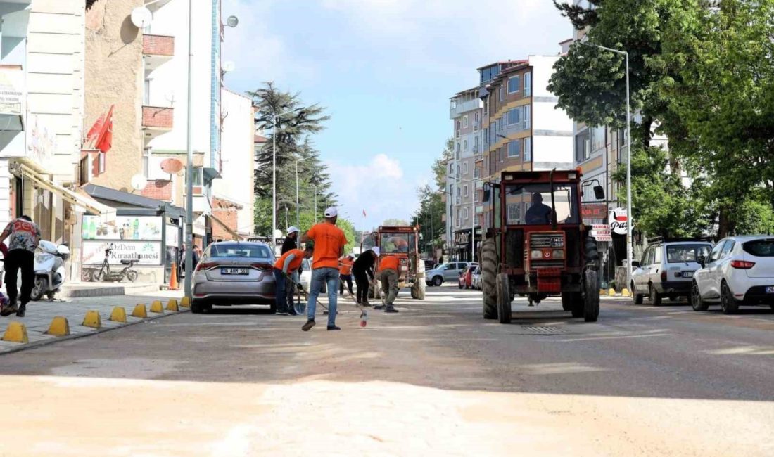 Bilecik’in Söğüt ilçesinde çim biçme ve ilaçlama çalışmaları hız kazandı.