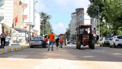Bilecik’in Söğüt ilçesinde çim biçme ve ilaçlama çalışmaları hız kazandı.