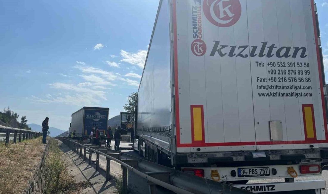 Bilecik’in Osmaneli ilçesinde iki tırın çarpıştığı trafik kazasında 1 kişi