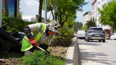 Bilecik Belediyesi Park ve Bahçeler Müdürlüğü ekipleri tarafından şehrin birçok