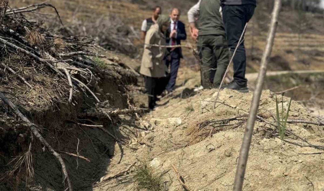 Bilecik’te yangın sahalarında ağaçlandırma çalışmaları incelendi Bilecik’in Gölpazarı ilçesinde yangın sahalarında ağaçlandırma çalışmaları incelendi. Gölpazarı Kaymakamı