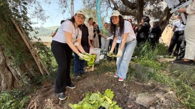 Kocaeli Üniversitesi öğrencileri, düzenlenen uygulamalı eğitimde biyobozunur atıkların komposta dönüştürülme