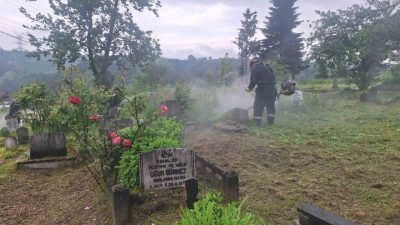 DÜZCE(İHA) – Düzce’nin Boğaziçi Beldesinde park ve bahçeler ile mezarlıklarda