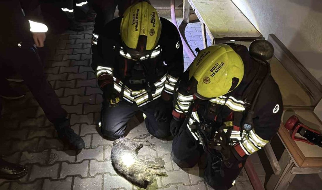 Bolu’da bir apartman dairesinde çıkan yangın, itfaiye ekiplerinin müdahalesiyle söndürüldü.