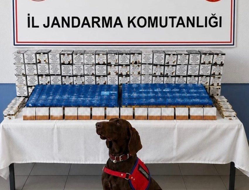 Bolu’da jandarma ekiplerince kaçakçılıkla mücadele kapsamında düzenlenen yol kontrolü ve