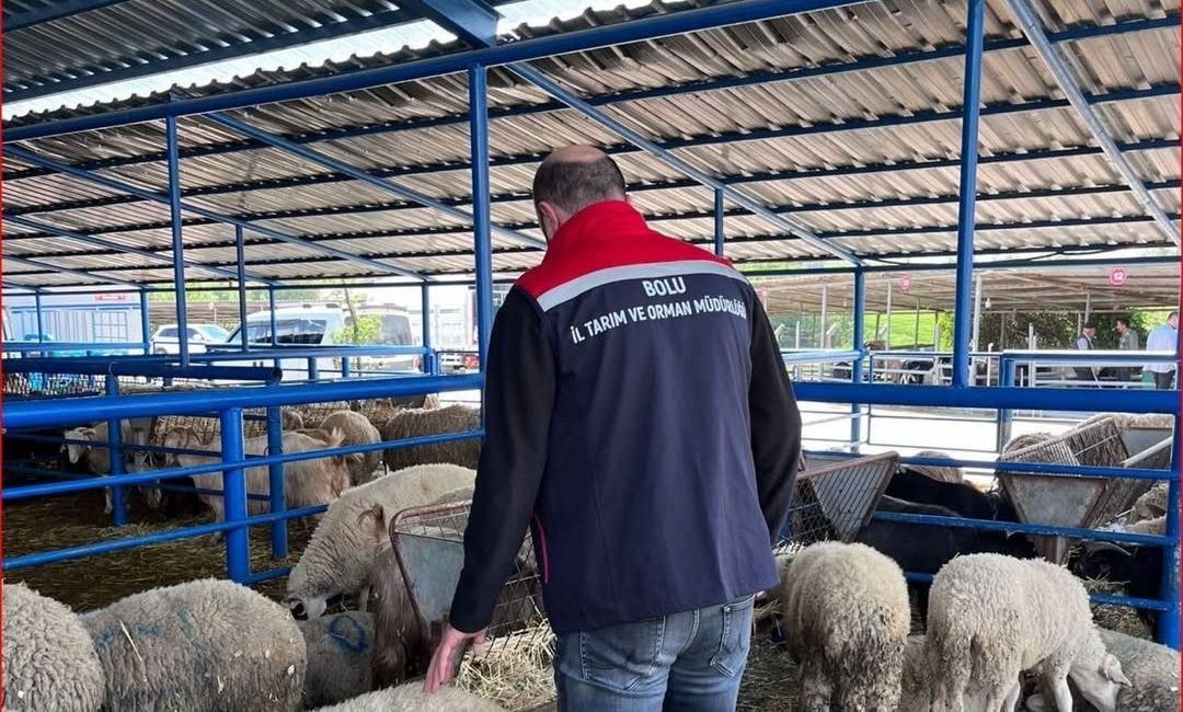 Bolu İl Tarım ve Orman Müdürlüğü ekipleri tarafından yaklaşan Kurban