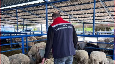 Bolu İl Tarım ve Orman Müdürlüğü ekipleri tarafından yaklaşan Kurban
