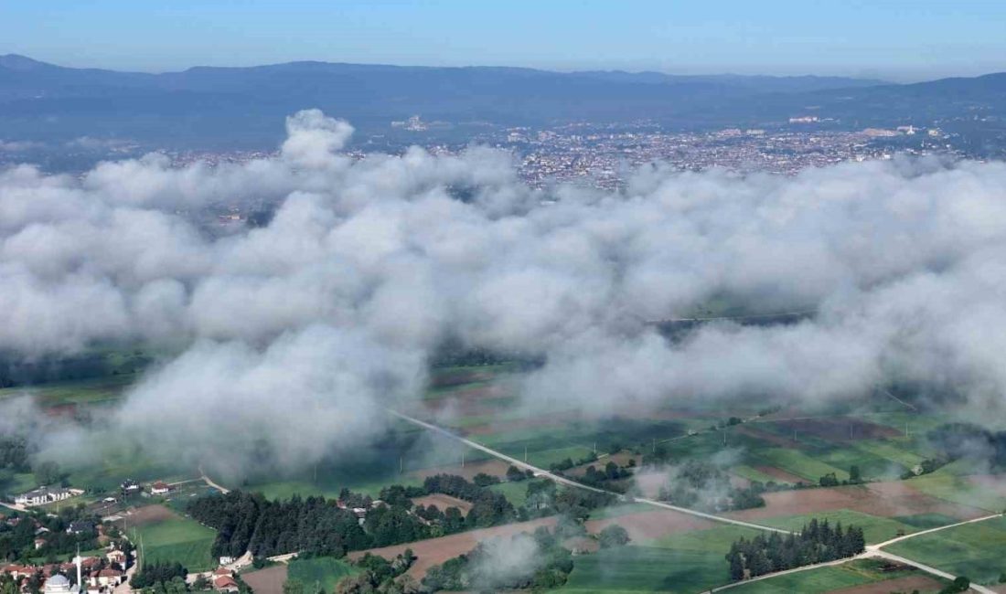 Bolu’da sabah saatlerinde tarım arazilerinin üzerini kaplayan sis tabakası, eşsiz