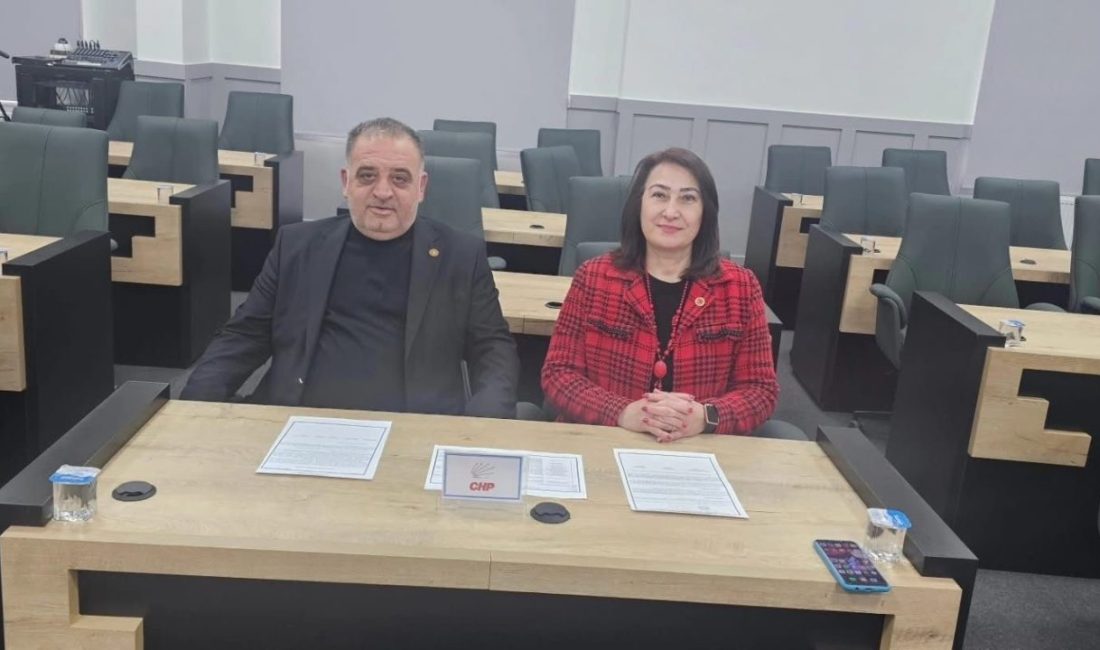 Bilecik’in Bozüyük ilçesinde Köylere Hizmet Götürme Birliği (KÖYDES) seçimleri tamamlandı.