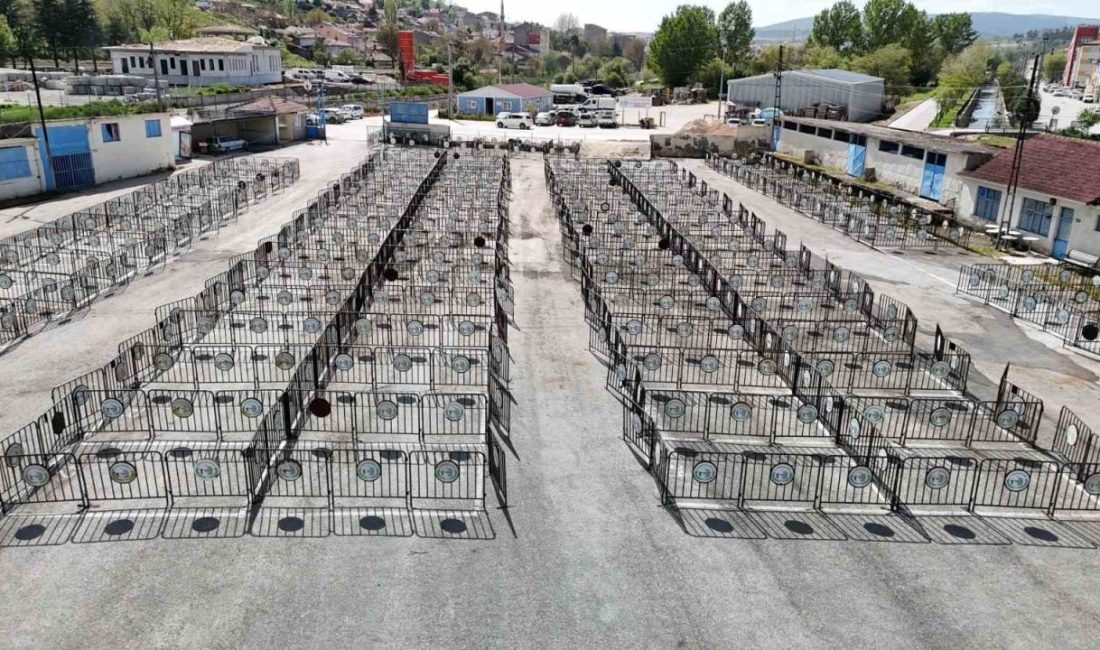 Yaklaşan Kurban Bayramı nedeniyle canlı hayvan pazarındaki kurban satış yerleri