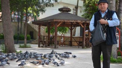 Bilecik’te yaklaşık 2 yıldır Şehitler Parkı’na inen yaklaşık 300 güvercine