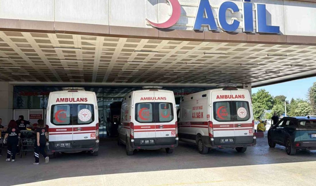 Düzce’de Kurban Bayramı’nın ilk gününde kurban kesimi sırasında yaralanan 154