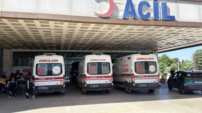 Düzce’de Kurban Bayramı’nın ilk gününde kurban kesimi sırasında yaralanan 154