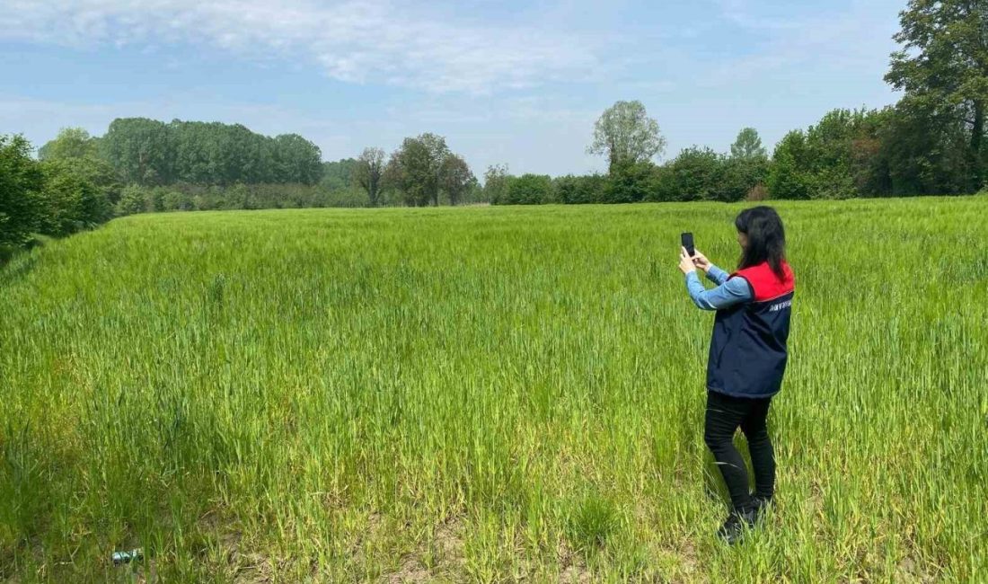DÜZCE(İHA) – Düzce’de üreticilerin Çiftçi Kayıt Sistemi ve destekleme başvurularında