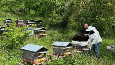 DÜZCE(İHA) – Düzce’nin Yığılca ilçesinde 58 bin adet arılı kovanda