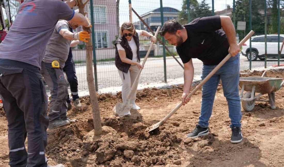 2″ projesinde çalışmalar hızla devam ediyor. Düzce Belediyesi tarafından Kültür