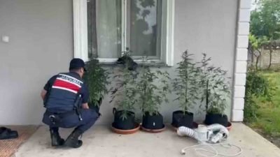 DÜZCE (İHA) – Düzce İl Jandarma Komutanlığı ekiplerinin yaptığı çalışmayla