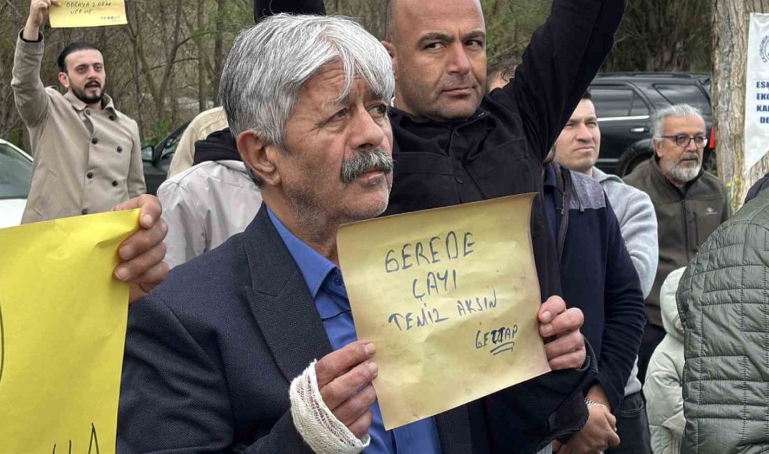 Bolu’nun Gerede ilçesindeki Deri ve Karma Organize Sanayi Bölgesi’nden bırakılan