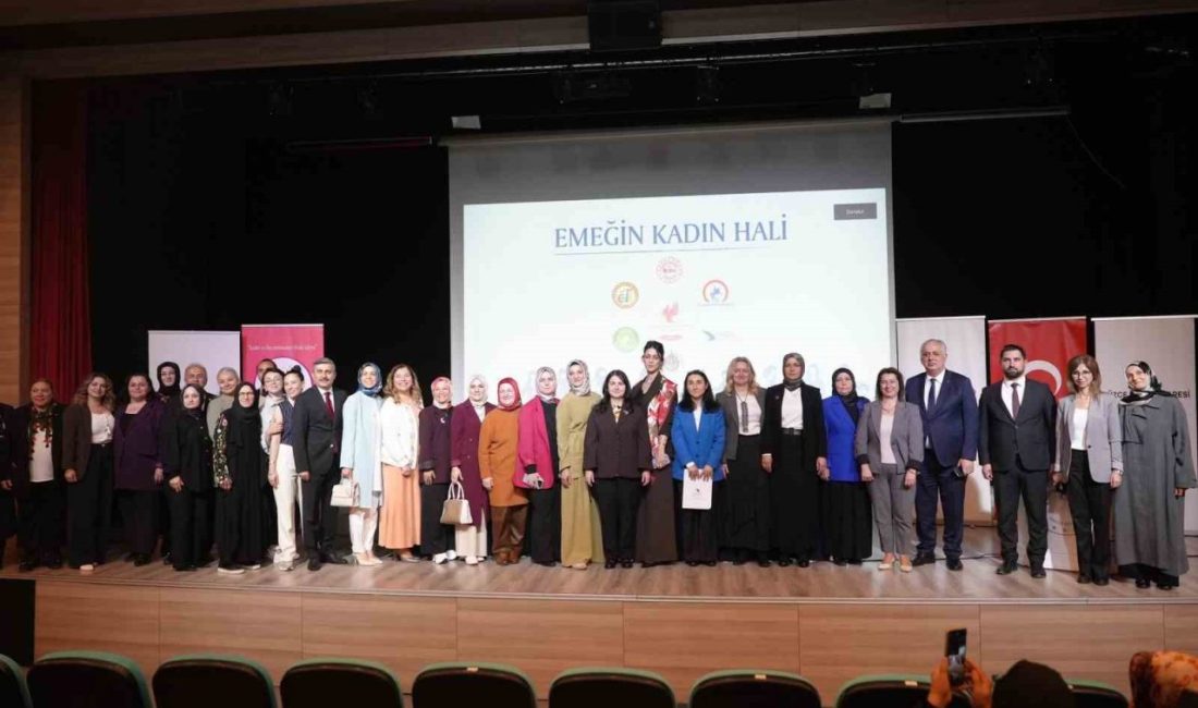 Düzce Valiliği himayesinde, Düzce Üniversitesi ve Düzce İl Özel İdaresi