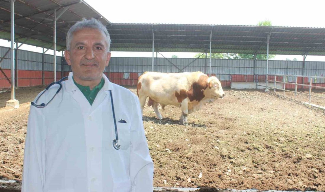 DÜZCE(İHA) – Düzce Veteriner Hekimleri Odası Başkanı Şerif Ali Karanfil,