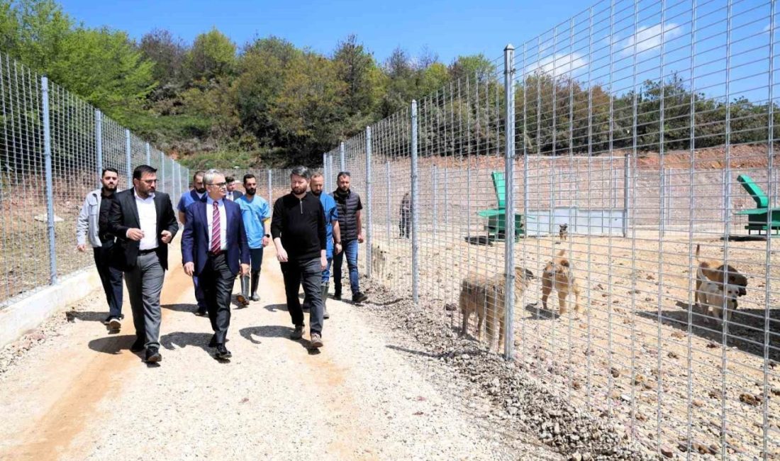 Kocaeli Büyükşehir Belediyesi tarafından Umuttepe bölgesinde inşası 2,5 ay gibi