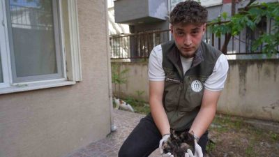 Bilecik’te belediye ekipleri cadde üzerindeki mazgala sıkışan kedi yavrularını kurtardı.